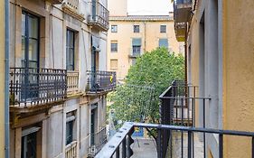 Apt 8 Geranio